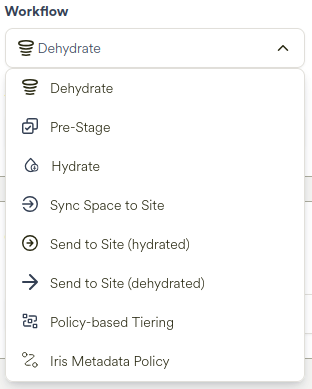 Iris Metadata Policy